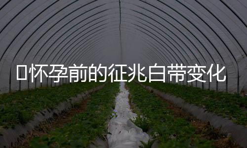 ​怀孕前的征兆白带变化