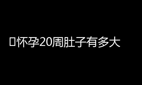 ​怀孕20周肚子有多大呢