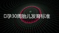 ​孕30周胎儿发育标准