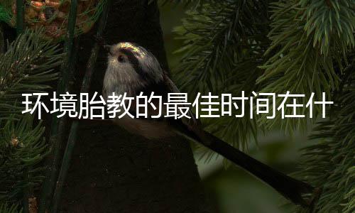 环境胎教的最佳时间在什么时候呢？