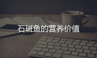 石斑鱼的营养价值