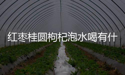 红枣桂圆枸杞泡水喝有什么功效？