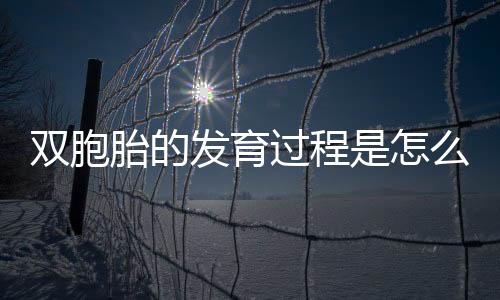 双胞胎的发育过程是怎么样的呢？