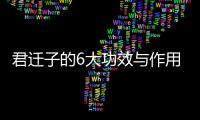 君迁子的6大功效与作用 最适合免疫力低下的人群