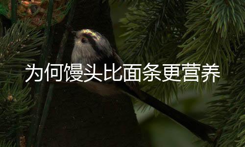 为何馒头比面条更营养