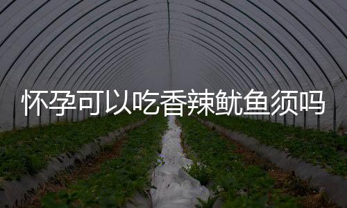 怀孕可以吃香辣鱿鱼须吗？怀孕吃什么比较好