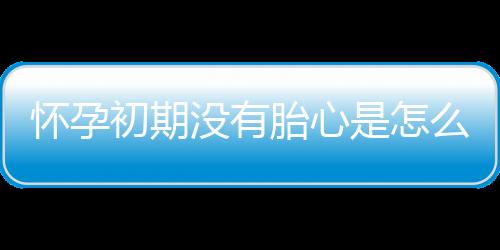 怀孕初期没有胎心是怎么回事？