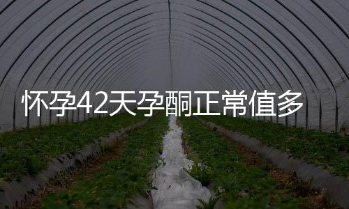 怀孕42天孕酮正常值多少