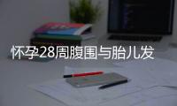 怀孕28周腹围与胎儿发育关系