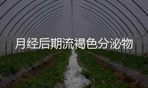 月经后期流褐色分泌物