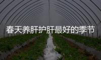 春天养肝护肝最好的季节 要想养肝避免这种伤肝行为