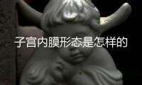 子宫内膜形态是怎样的