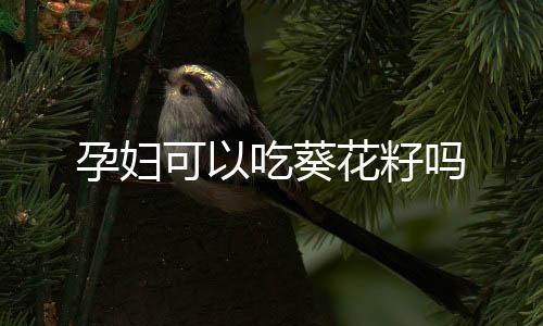 孕妇可以吃葵花籽吗