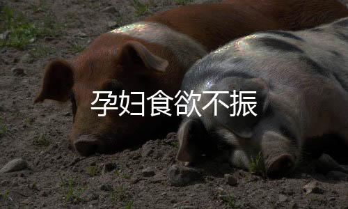 孕妇食欲不振