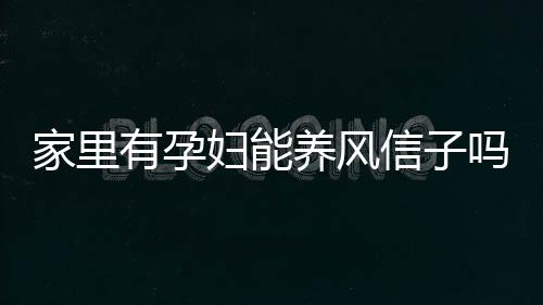 家里有孕妇能养风信子吗？风信子的养殖方法