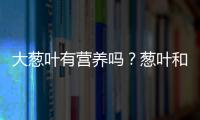 大葱叶有营养吗？葱叶和葱白哪个营养更高