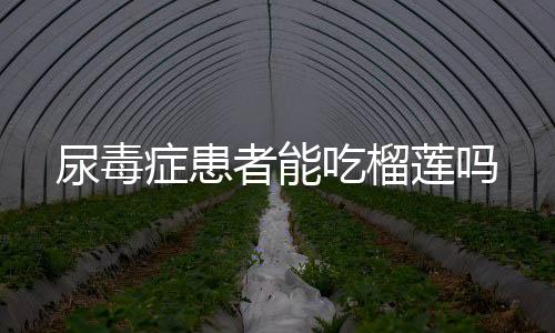 尿毒症患者能吃榴莲吗