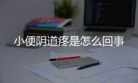 小便阴道疼是怎么回事