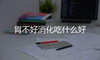 胃不好消化吃什么好