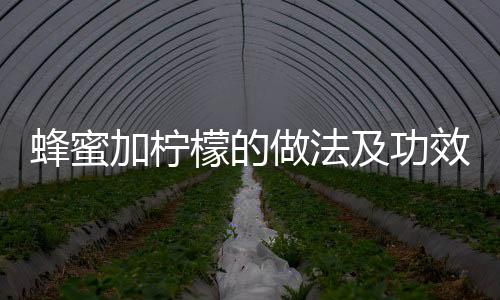 蜂蜜加柠檬的做法及功效是什么