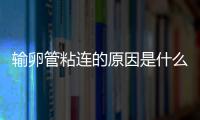 输卵管粘连的原因是什么？