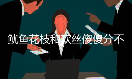 鱿鱼花枝和软丝傻傻分不清 教你一招来辨认