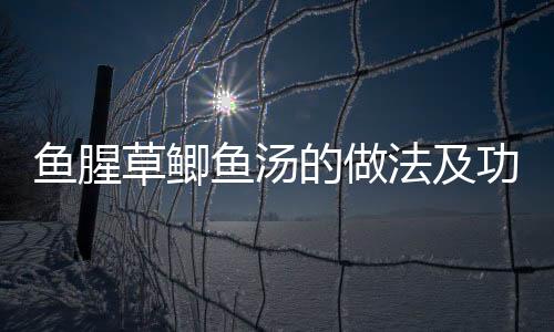 鱼腥草鲫鱼汤的做法及功效